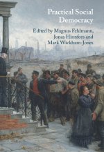 Practical Social Democracy