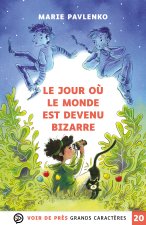 LE JOUR OU LE MONDE EST DEVENU BIZARRE