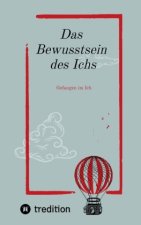 Das Bewusstsein des Ichs.  Es geht um die Frage wer ist dieses Ich?