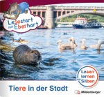 Lesestart mit Eberhart: Tiere in der Stadt