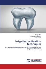 Irrigation activation techniques