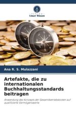 Artefakte, die zu internationalen Buchhaltungsstandards beitragen