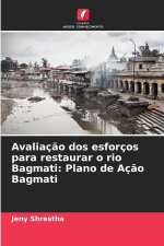 Avaliação dos esforços para restaurar o rio Bagmati: Plano de Ação Bagmati
