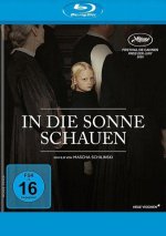 In die Sonne schauen