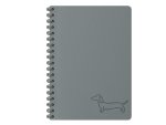 Kołozeszyt 80k.linia dark gray