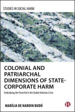 Racial and Colonial Dimensions of Corporate Harm