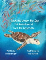 Anatomy Under the Sea