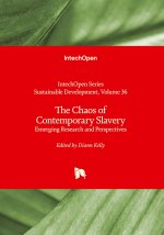 The Chaos of Contemporary Slavery - Emerging Research and Perspectives