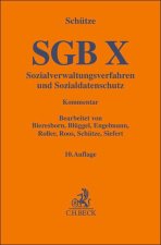 SGB X