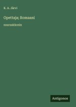 Opettaja; Romaani