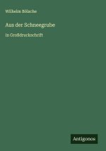 Aus der Schneegrube