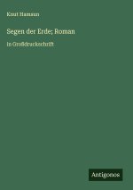 Segen der Erde; Roman