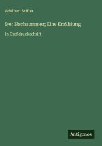 Der Nachsommer; Eine Erzählung