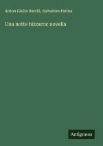 Una notte bizzarra: novella