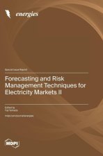 Forecasting and Risk Management Techniques for Electricity Markets II