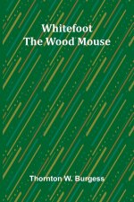 Whitefoot the Wood Mouse