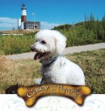 Casey Goes to the Hamptons