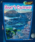 The Giant's Causeway of Northern Ireland