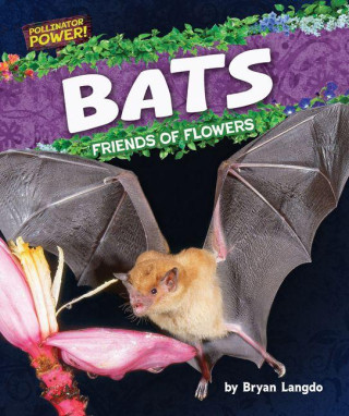 Bats