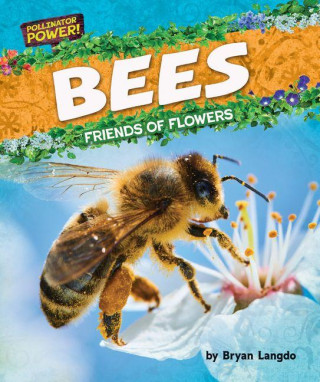 Bees
