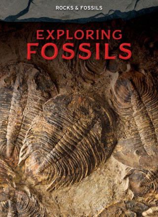 Exploring Fossils