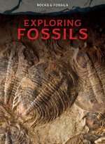 Exploring Fossils