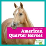 American Quarter Horses