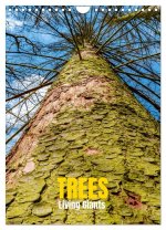 Trees, Living Giants (Wall Calendar 2026 DIN A4 portrait), CALVENDO 12 Month Wall Calendar