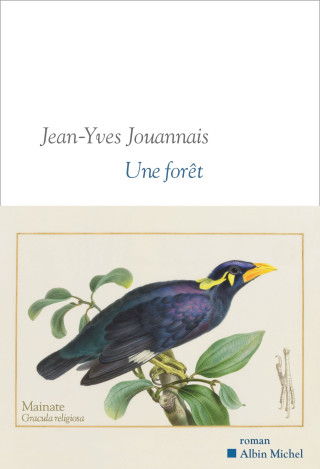 Une forêt