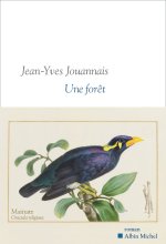 Une forêt