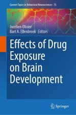 Effects of Drug Exposure on Brain Development