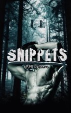 Snippets