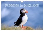 Puffins in Iceland (Wall Calendar 2026 DIN A4 landscape), CALVENDO 12 Month Wall Calendar