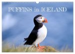 Puffins in Iceland (Wall Calendar 2026 DIN A3 landscape), CALVENDO 12 Month Wall Calendar