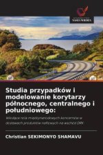 Studia przypadków i modelowanie korytarzy pólnocnego, centralnego i poludniowego: