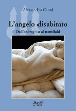 angelo disabitato. Dall'androgino al transfluid