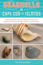Seashells of Cape Cod & the Islands