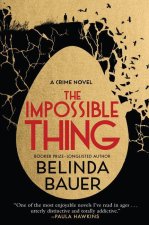The Impossible Thing