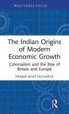 The Indian Origins of Modern Economic Growth