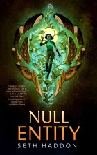Null Entity
