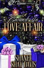 A Snowed In Love Affair