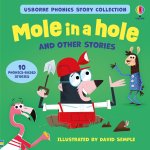 Phonics Story Collection - Mole in a Hole and Other Phonics Stories