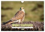 Wildes Stadtleben in München (Wandkalender 2026 DIN A4 quer), CALVENDO Monatskalender