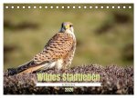Wildes Stadtleben in München (Tischkalender 2026 DIN A5 quer), CALVENDO Monatskalender