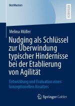Nudging als Schlu¿ssel zur Überwindung typischer Hindernisse bei der Etablierung von Agilität: Entwicklung und Evaluation eines konzeptionellen Ansatz