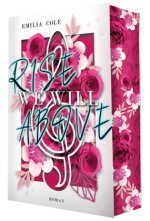 We Will Rise Above