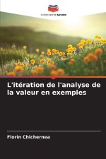 L'itération de l'analyse de la valeur en exemples