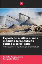 Exposição à sílica e suas medidas terapêuticas contra a toxicidade