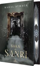 Saka ve Sanri 3 Yan Boyamali, Ciltli