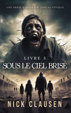 Sous le ciel brisé 3